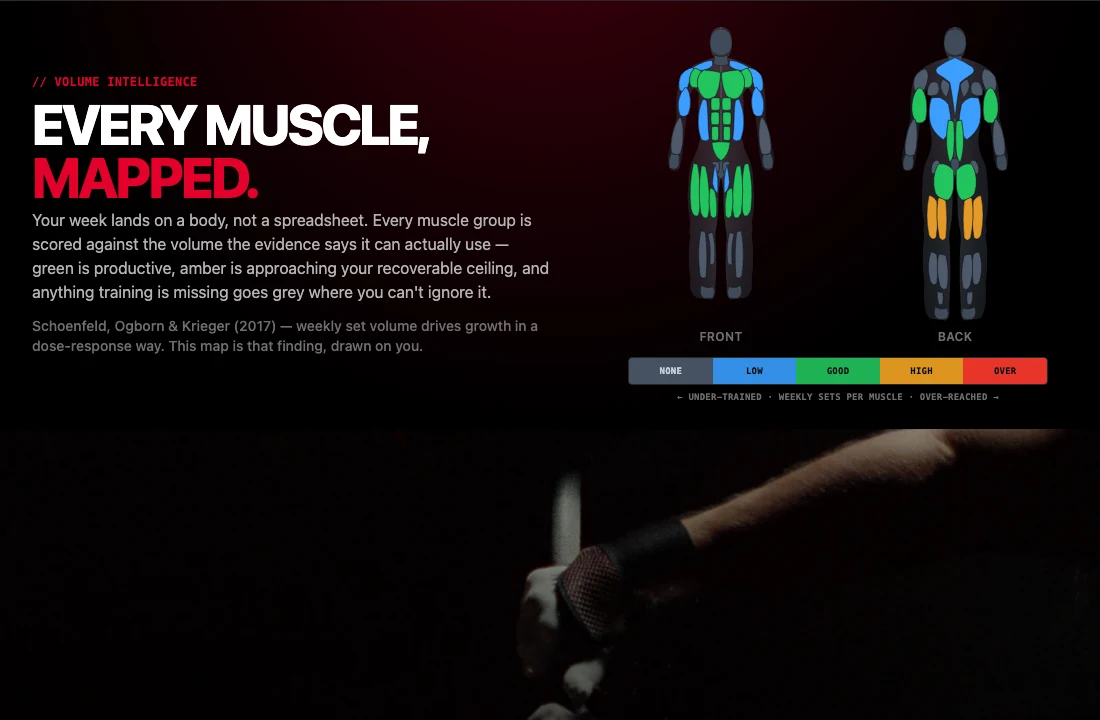 Ilumax Strength public training interface and muscle heat map